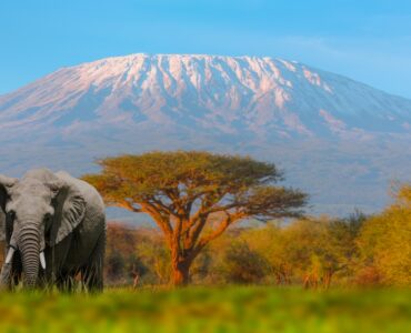 Nejvyšší hora Afriky – co to je, kde se nachází a jak ji zdolat?
