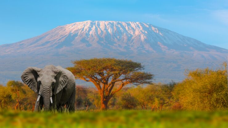 Nejvyšší hora Afriky – co to je, kde se nachází a jak ji zdolat?