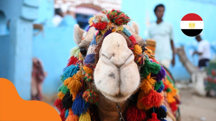 Spropitné v Egyptě